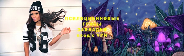 PSILOCYBIN Касимов