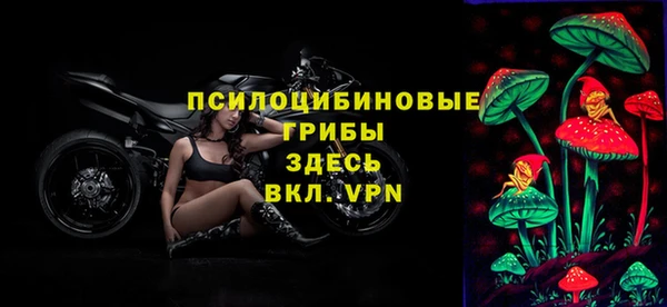 PSILOCYBIN Касимов