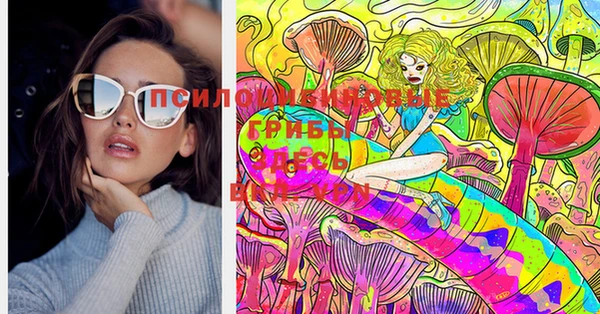 PSILOCYBIN Касимов