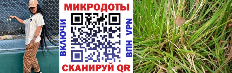 Купить закладки  Болотное  Псилоцибиновые грибы Psilocybe 